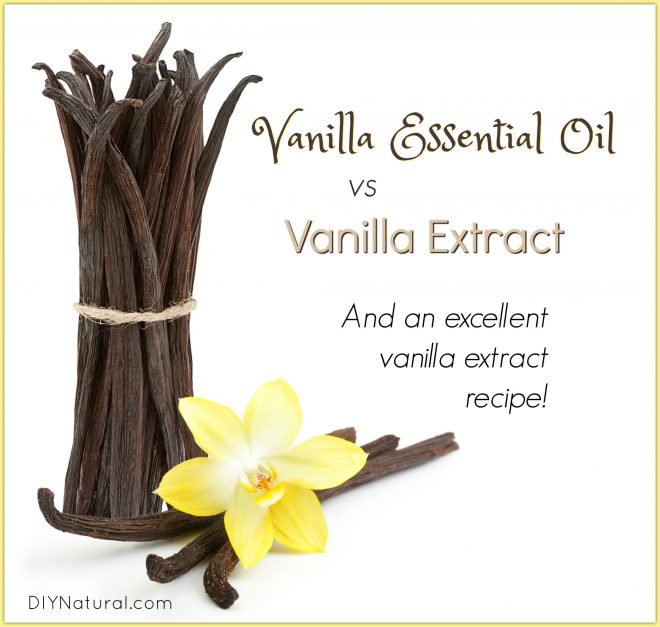 Vanilla Essential Oil vs Vanilla Extract