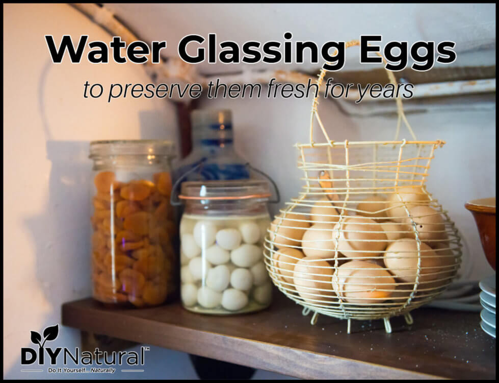Water Glassing Eggs Preserving Lime