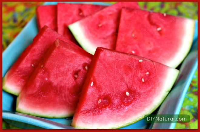 Watermelon Recipes 1