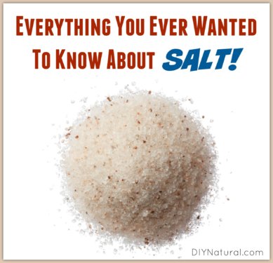 What is Salt
