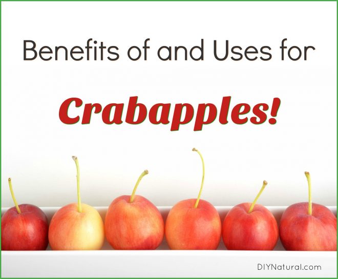 Uses for Crabapples